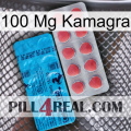 100Mg Kamagra new14